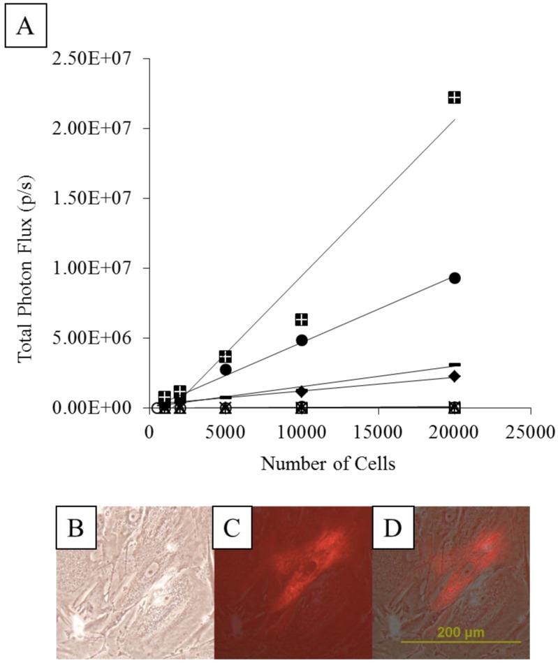 https://cdn.ncbi.nlm.nih.gov/pmc/blobs/bf23/3879108/390bd7fc0dcf/thnov03p0916g004.jpg