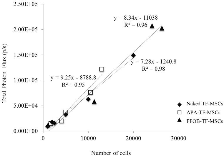 https://cdn.ncbi.nlm.nih.gov/pmc/blobs/bf23/3879108/8d4c232edfd3/thnov03p0916g006.jpg