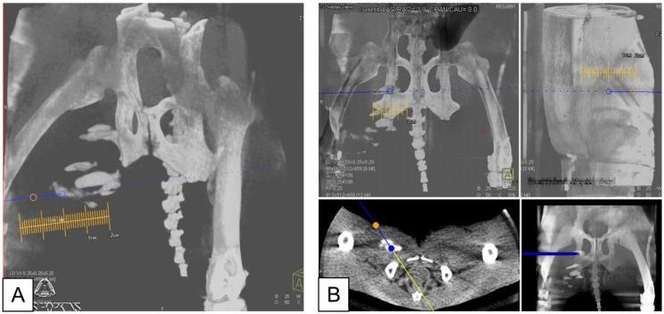 https://cdn.ncbi.nlm.nih.gov/pmc/blobs/bf23/3879108/b380d84bf312/thnov03p0916g001.jpg