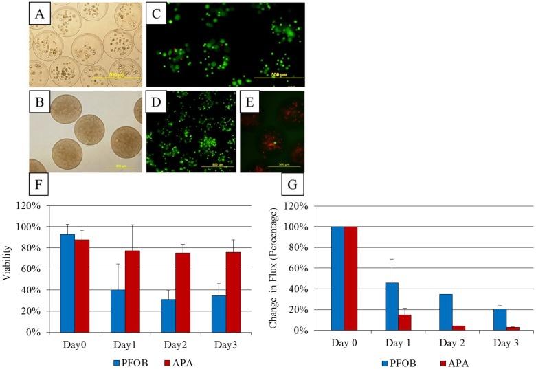 https://cdn.ncbi.nlm.nih.gov/pmc/blobs/bf23/3879108/ecd1fc0d0e07/thnov03p0916g005.jpg