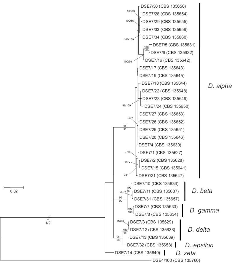 https://cdn.ncbi.nlm.nih.gov/pmc/blobs/bf23/4713113/ae9842e1a23c/per-35-087-g003.jpg