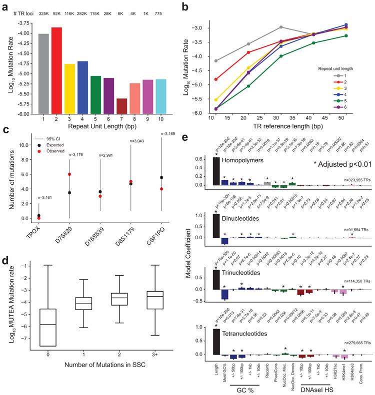 https://cdn.ncbi.nlm.nih.gov/pmc/blobs/bf24/7810352/89ab8e9c422f/nihms-1649375-f0006.jpg