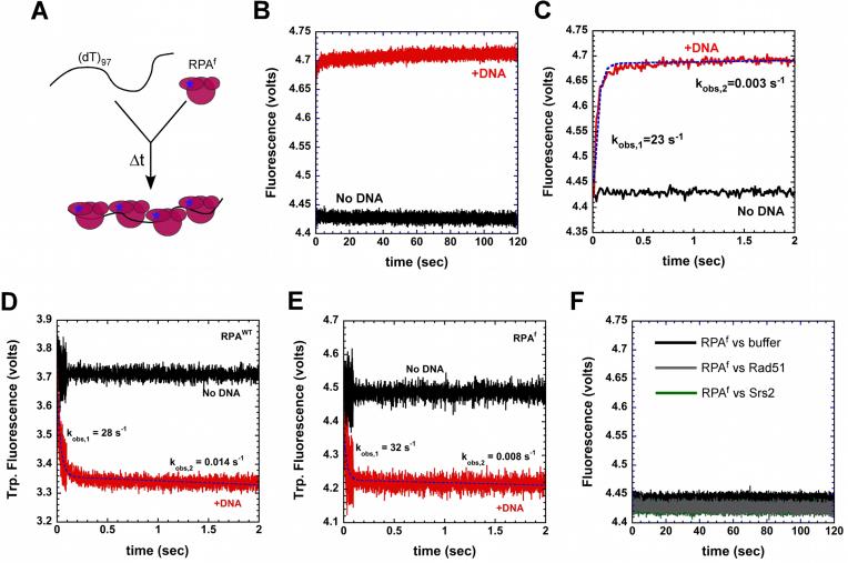 https://cdn.ncbi.nlm.nih.gov/pmc/blobs/bf25/5766198/3ee573d6f506/gkx598fig4.jpg