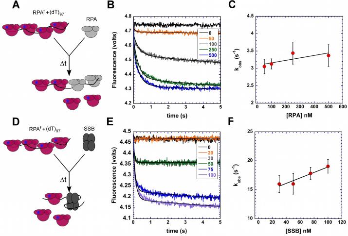 https://cdn.ncbi.nlm.nih.gov/pmc/blobs/bf25/5766198/7981d7d63777/gkx598fig5.jpg
