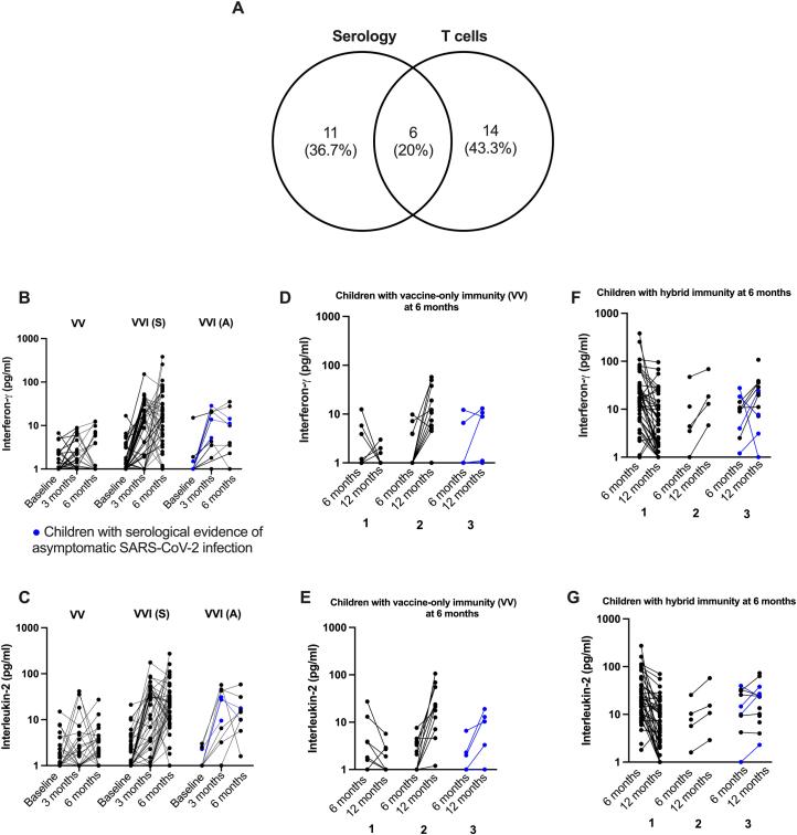 https://cdn.ncbi.nlm.nih.gov/pmc/blobs/bf27/11164684/0f33d0207e08/41591_2024_2962_Fig10_ESM.jpg