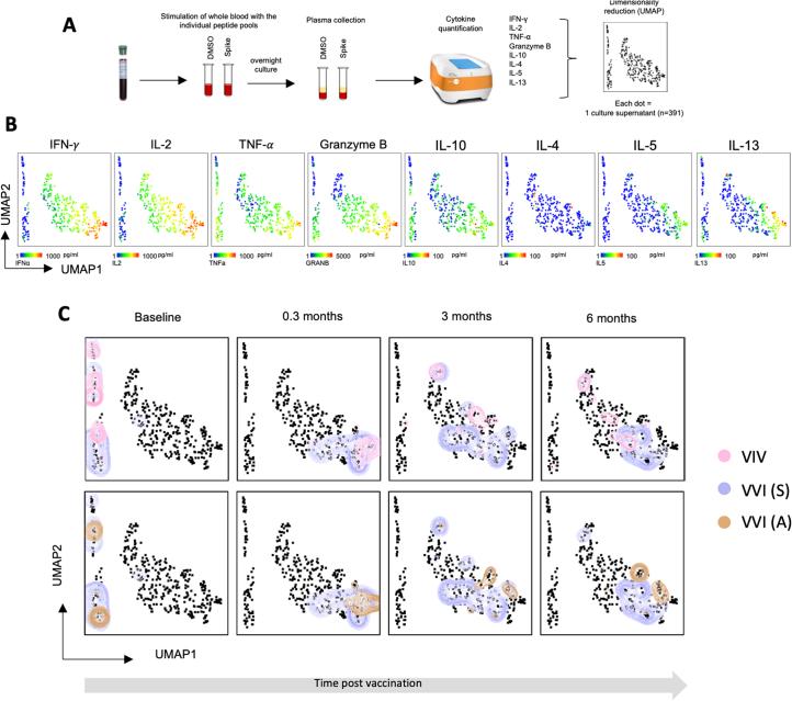 https://cdn.ncbi.nlm.nih.gov/pmc/blobs/bf27/11164684/25a834209571/41591_2024_2962_Fig12_ESM.jpg