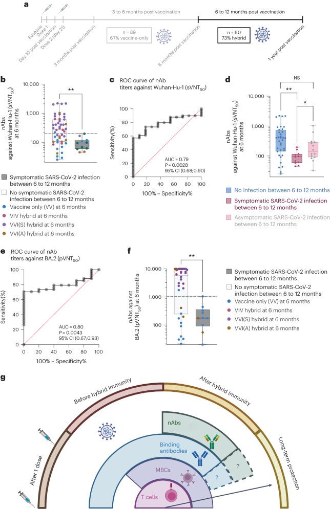 https://cdn.ncbi.nlm.nih.gov/pmc/blobs/bf27/11164684/4be1efdc60fe/41591_2024_2962_Fig6_HTML.jpg