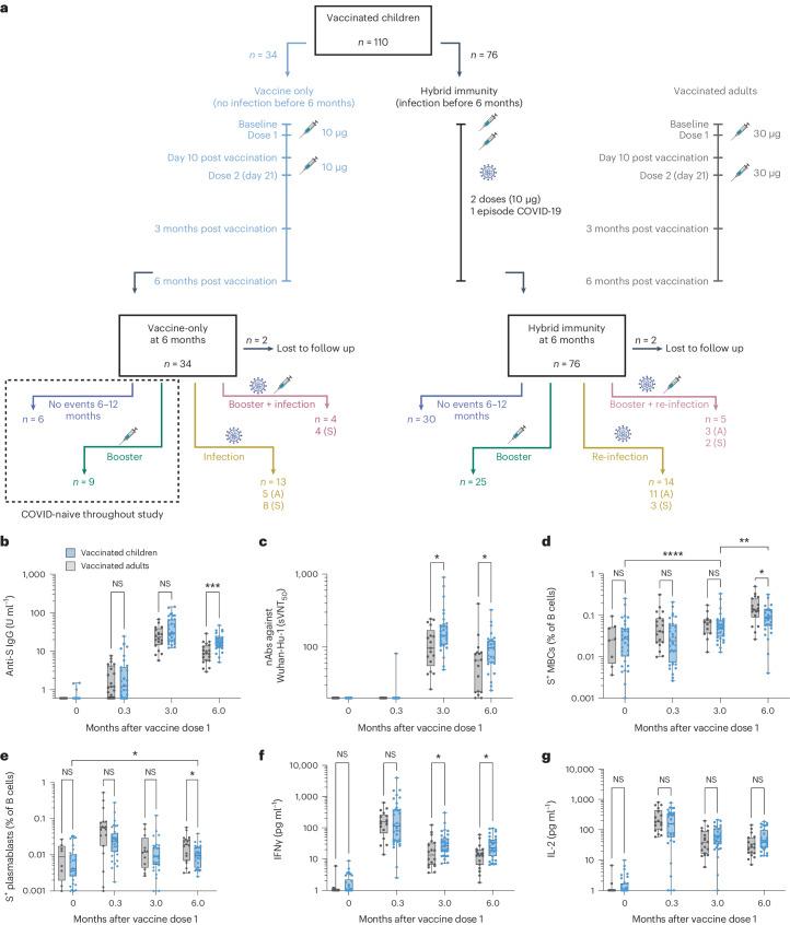 https://cdn.ncbi.nlm.nih.gov/pmc/blobs/bf27/11164684/63a50fcf5efe/41591_2024_2962_Fig1_HTML.jpg