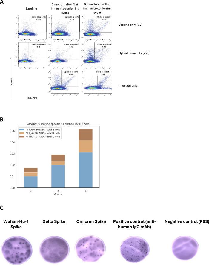 https://cdn.ncbi.nlm.nih.gov/pmc/blobs/bf27/11164684/e84e47d11291/41591_2024_2962_Fig7_ESM.jpg