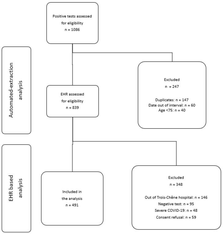 https://cdn.ncbi.nlm.nih.gov/pmc/blobs/bf27/11209592/d8e6281b29c0/viruses-16-00864-g001.jpg