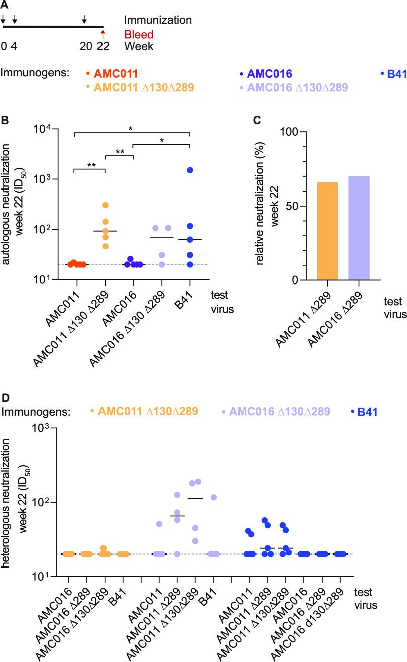 https://cdn.ncbi.nlm.nih.gov/pmc/blobs/bf27/8754230/4dfeeffaf8e2/jvi.01552-21-f005.jpg