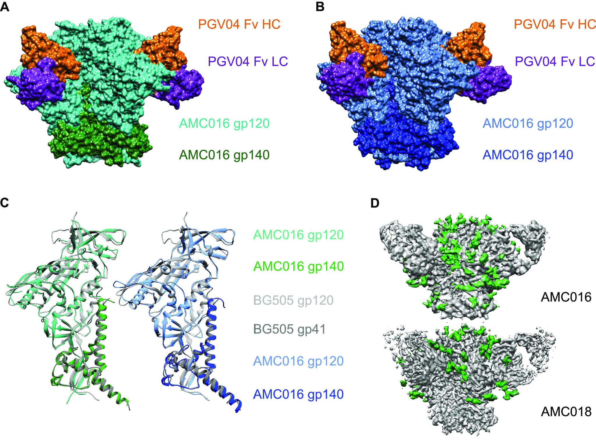 https://cdn.ncbi.nlm.nih.gov/pmc/blobs/bf27/8754230/a3fb5eb3008e/jvi.01552-21-f006.jpg