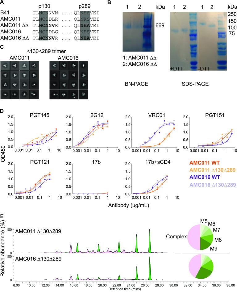https://cdn.ncbi.nlm.nih.gov/pmc/blobs/bf27/8754230/c282437f90f4/jvi.01552-21-f002.jpg
