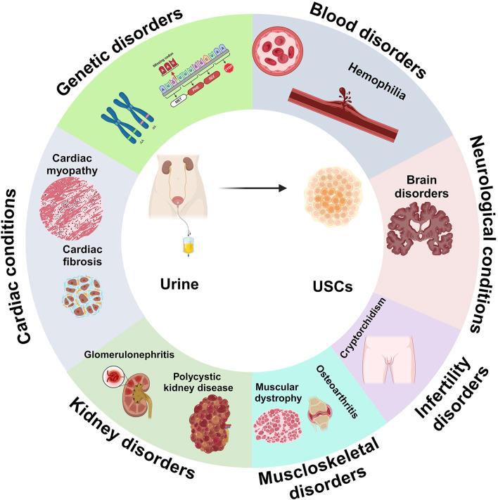 https://cdn.ncbi.nlm.nih.gov/pmc/blobs/bf28/12066649/3e8b505f9595/fbioe-13-1571066-g003.jpg