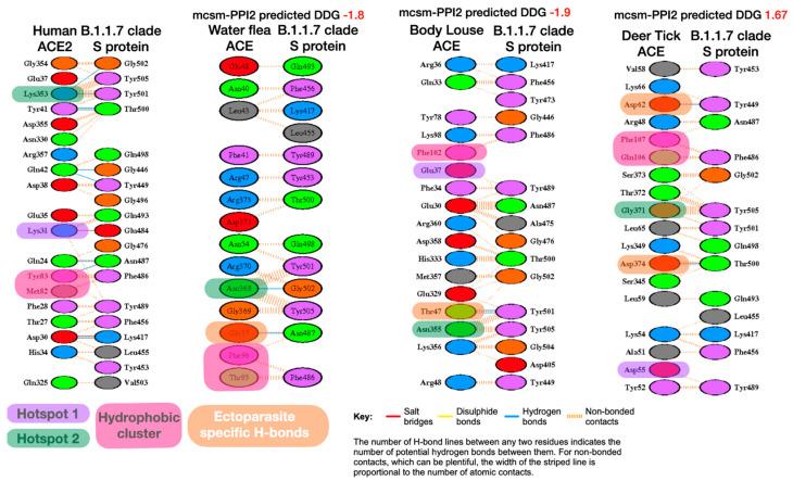 https://cdn.ncbi.nlm.nih.gov/pmc/blobs/bf28/8073597/103d5e520e4a/viruses-13-00708-g003.jpg