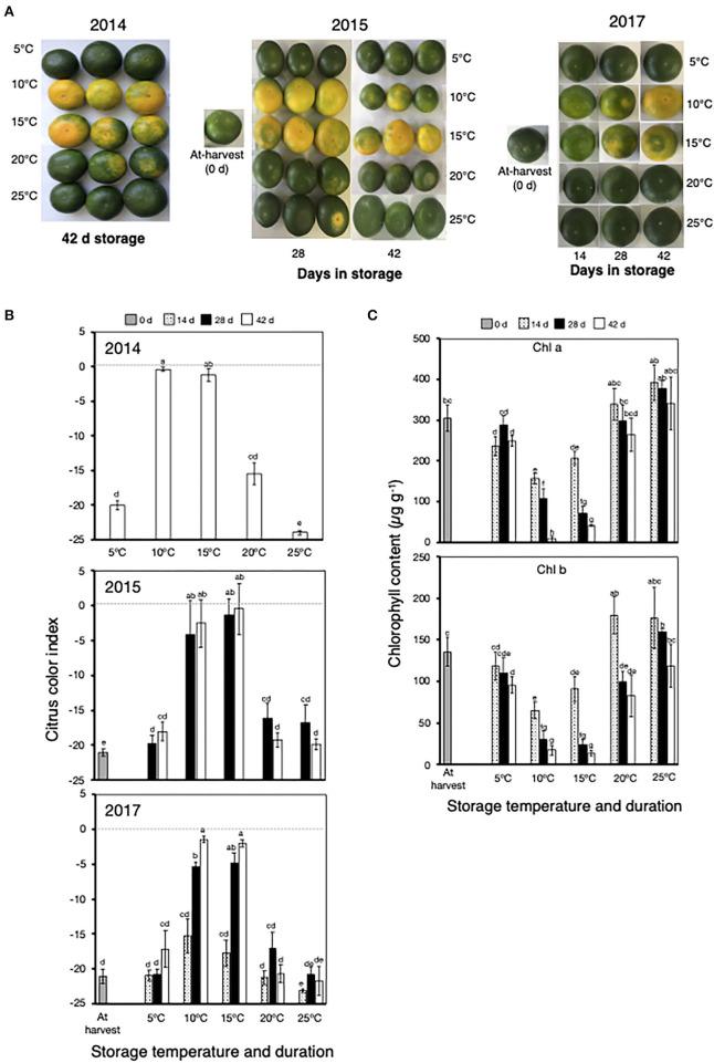 https://cdn.ncbi.nlm.nih.gov/pmc/blobs/bf28/9328020/a0e2e5371b8c/fpls-13-918226-g0002.jpg
