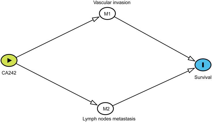 https://cdn.ncbi.nlm.nih.gov/pmc/blobs/bf2a/9792143/47dd0f901e26/fonc-12-1071439-g001.jpg
