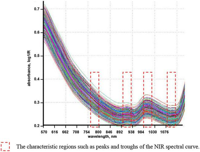 https://cdn.ncbi.nlm.nih.gov/pmc/blobs/bf2b/9120668/3c5d0c45f90d/fpls-13-881560-g001.jpg
