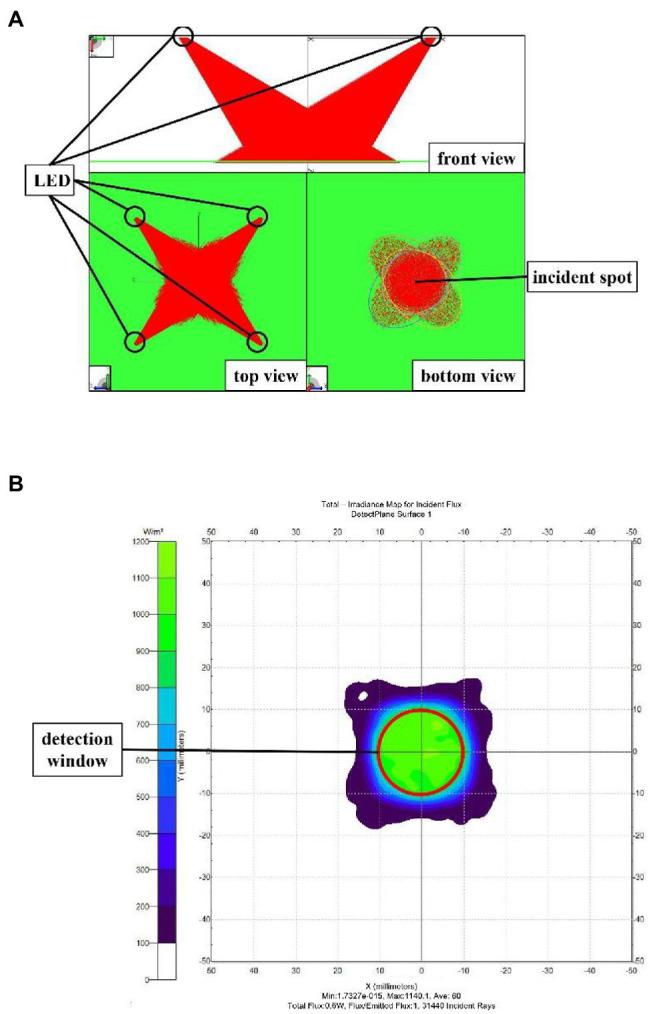 https://cdn.ncbi.nlm.nih.gov/pmc/blobs/bf2b/9120668/9e90b1746791/fpls-13-881560-g006.jpg