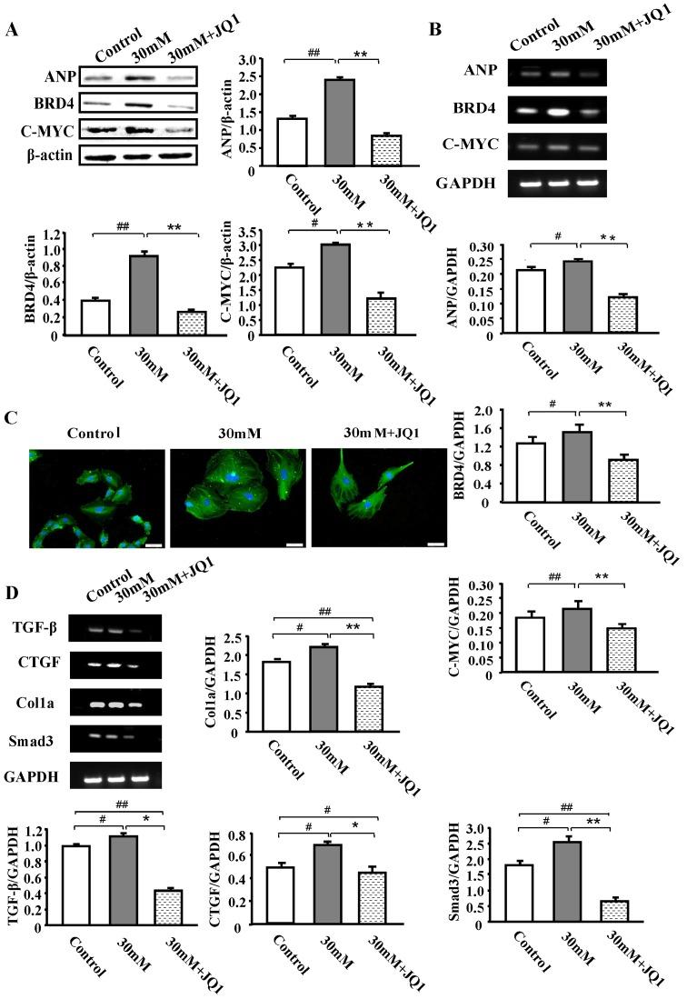 https://cdn.ncbi.nlm.nih.gov/pmc/blobs/bf2d/6297744/751e1fd2383c/MMR-19-01-0499-g03.jpg
