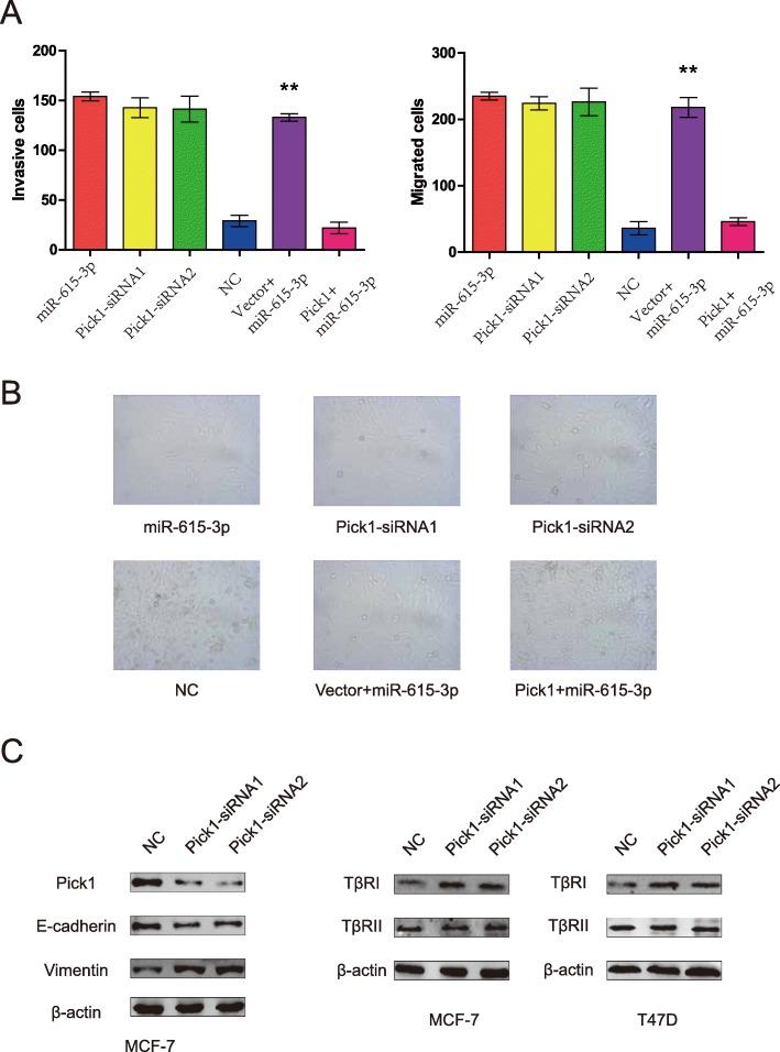 https://cdn.ncbi.nlm.nih.gov/pmc/blobs/bf2d/7183699/17ea08bb5ab3/13046_2020_1571_Fig5_HTML.jpg
