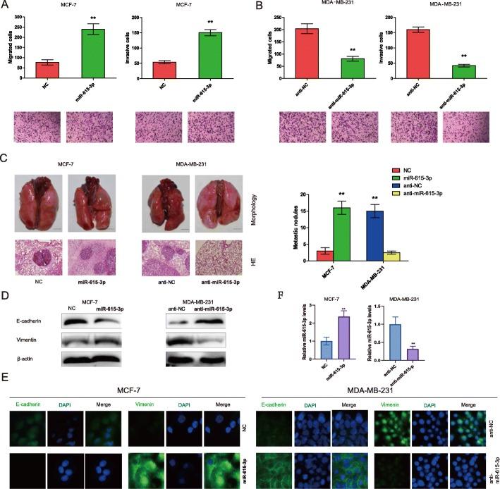 https://cdn.ncbi.nlm.nih.gov/pmc/blobs/bf2d/7183699/ccbd57c01dcd/13046_2020_1571_Fig2_HTML.jpg