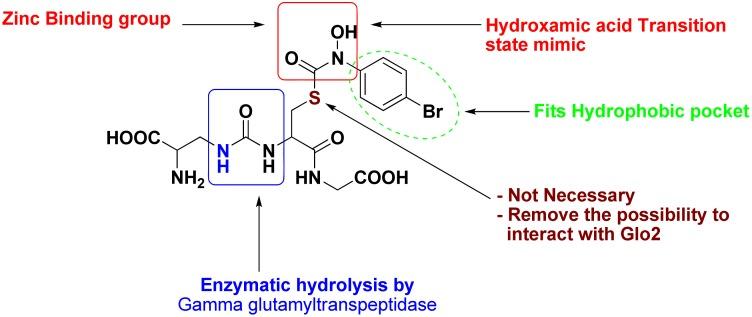 https://cdn.ncbi.nlm.nih.gov/pmc/blobs/bf2e/6268171/08a6c1aea026/molecules-17-13740-g002.jpg