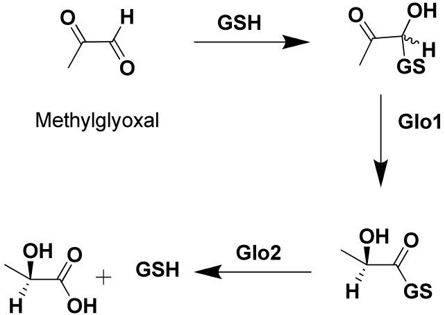 https://cdn.ncbi.nlm.nih.gov/pmc/blobs/bf2e/6268171/4229cf875e17/molecules-17-13740-sch001.jpg