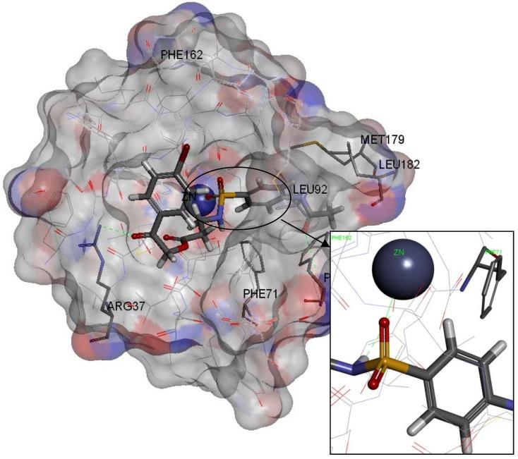 https://cdn.ncbi.nlm.nih.gov/pmc/blobs/bf2e/6268171/44a34ba86ec0/molecules-17-13740-g011.jpg