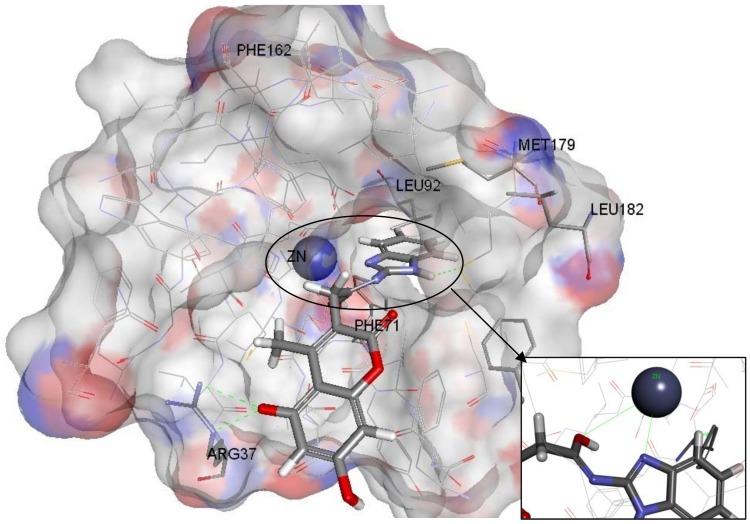 https://cdn.ncbi.nlm.nih.gov/pmc/blobs/bf2e/6268171/82dde01437f2/molecules-17-13740-g012.jpg