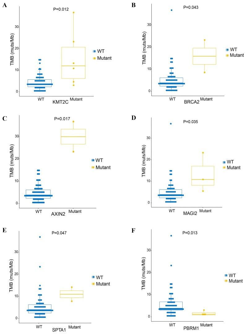 https://cdn.ncbi.nlm.nih.gov/pmc/blobs/bf2f/7074170/5ca144d5fe95/ol-19-04-3101-g02.jpg