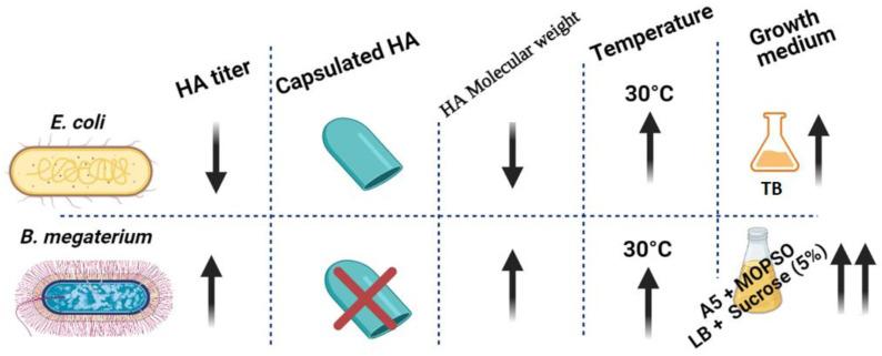 https://cdn.ncbi.nlm.nih.gov/pmc/blobs/bf2f/9787986/24a0fb8f4468/microorganisms-10-02347-g006.jpg