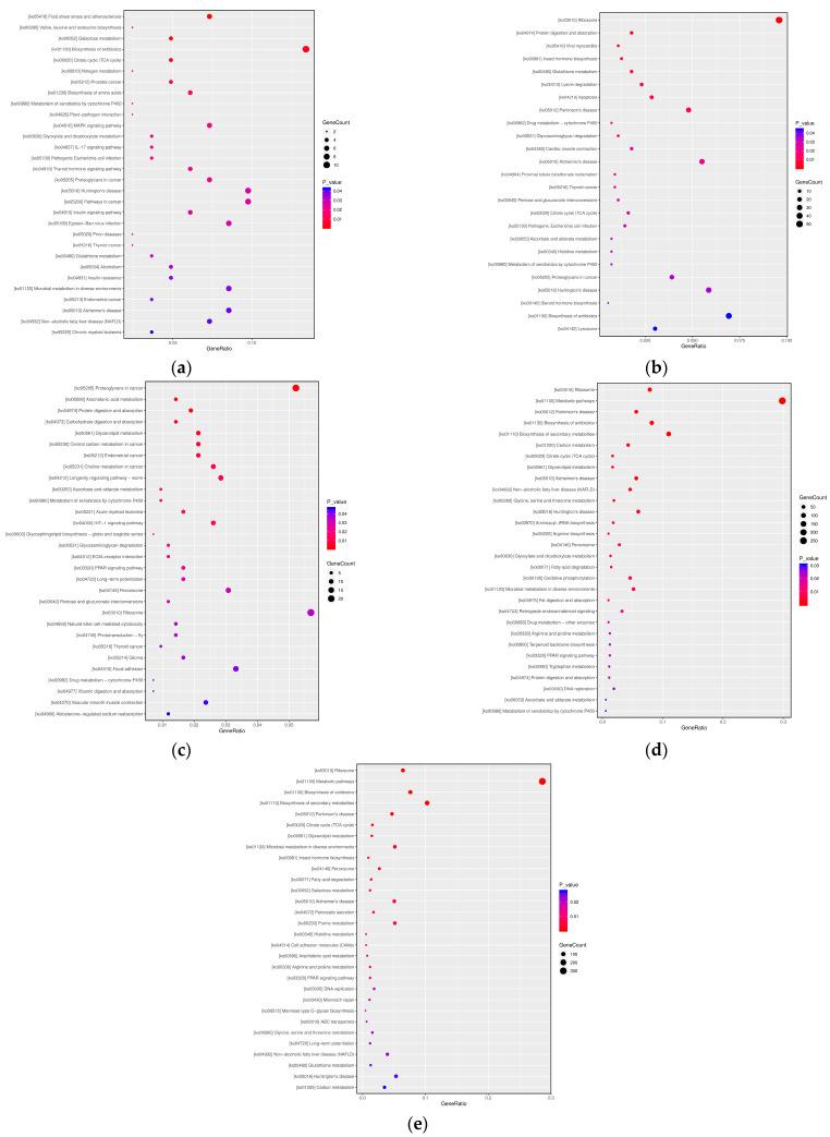 https://cdn.ncbi.nlm.nih.gov/pmc/blobs/bf30/12295449/87336f6947fb/insects-16-00745-g006.jpg