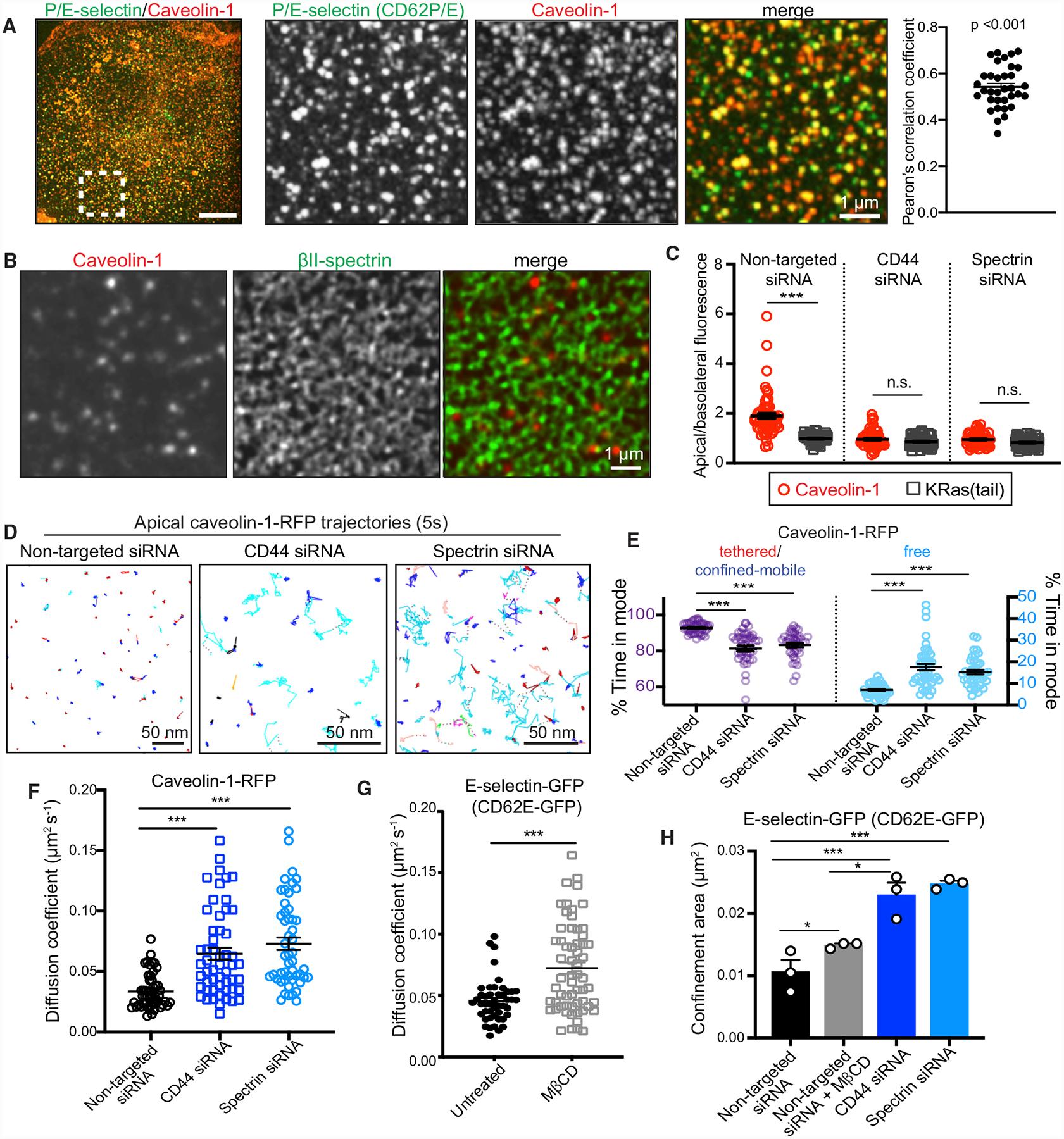 https://cdn.ncbi.nlm.nih.gov/pmc/blobs/bf33/7548125/019c82259ff7/nihms-1633236-f0007.jpg
