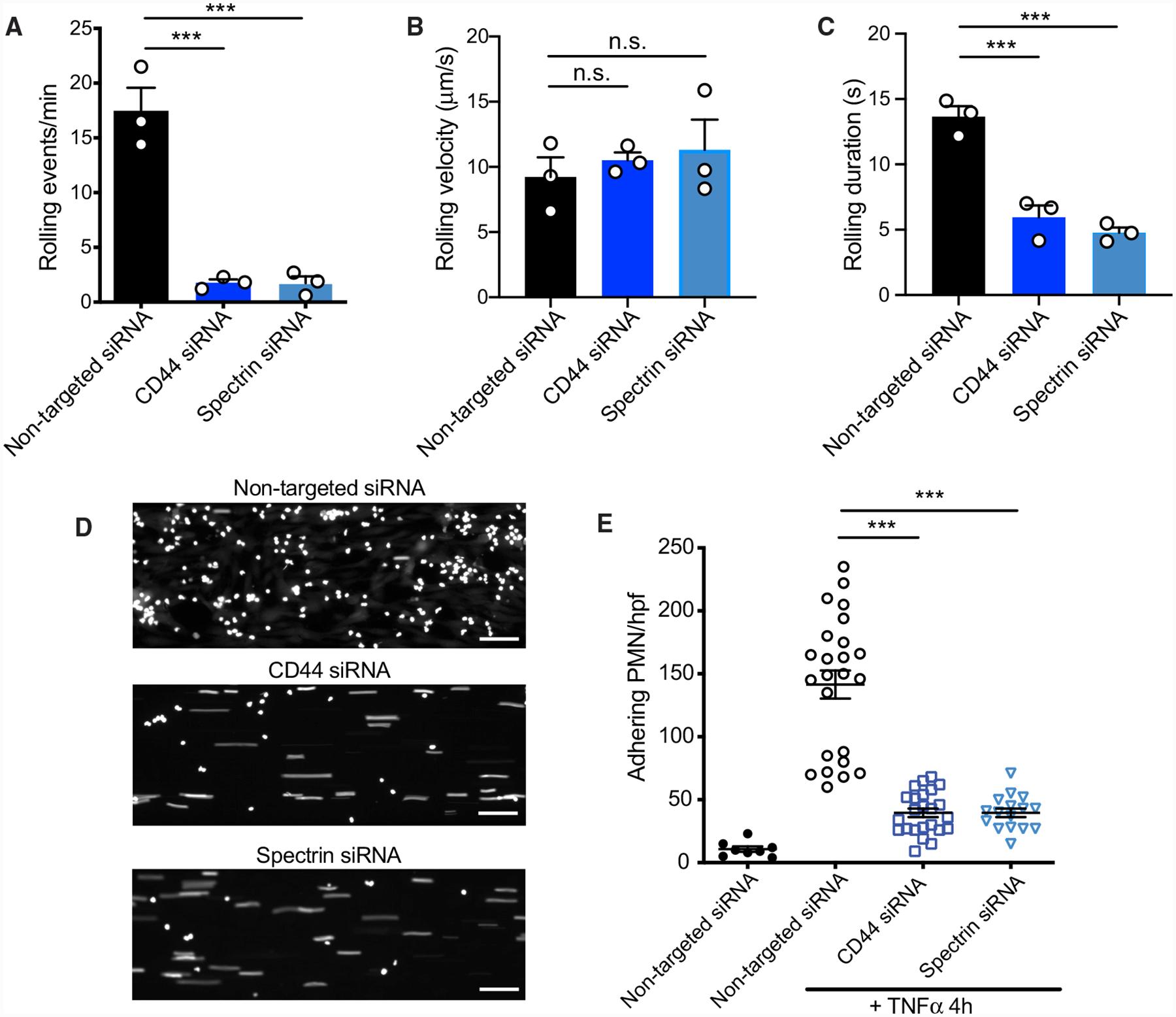 https://cdn.ncbi.nlm.nih.gov/pmc/blobs/bf33/7548125/41b3084e849b/nihms-1633236-f0008.jpg