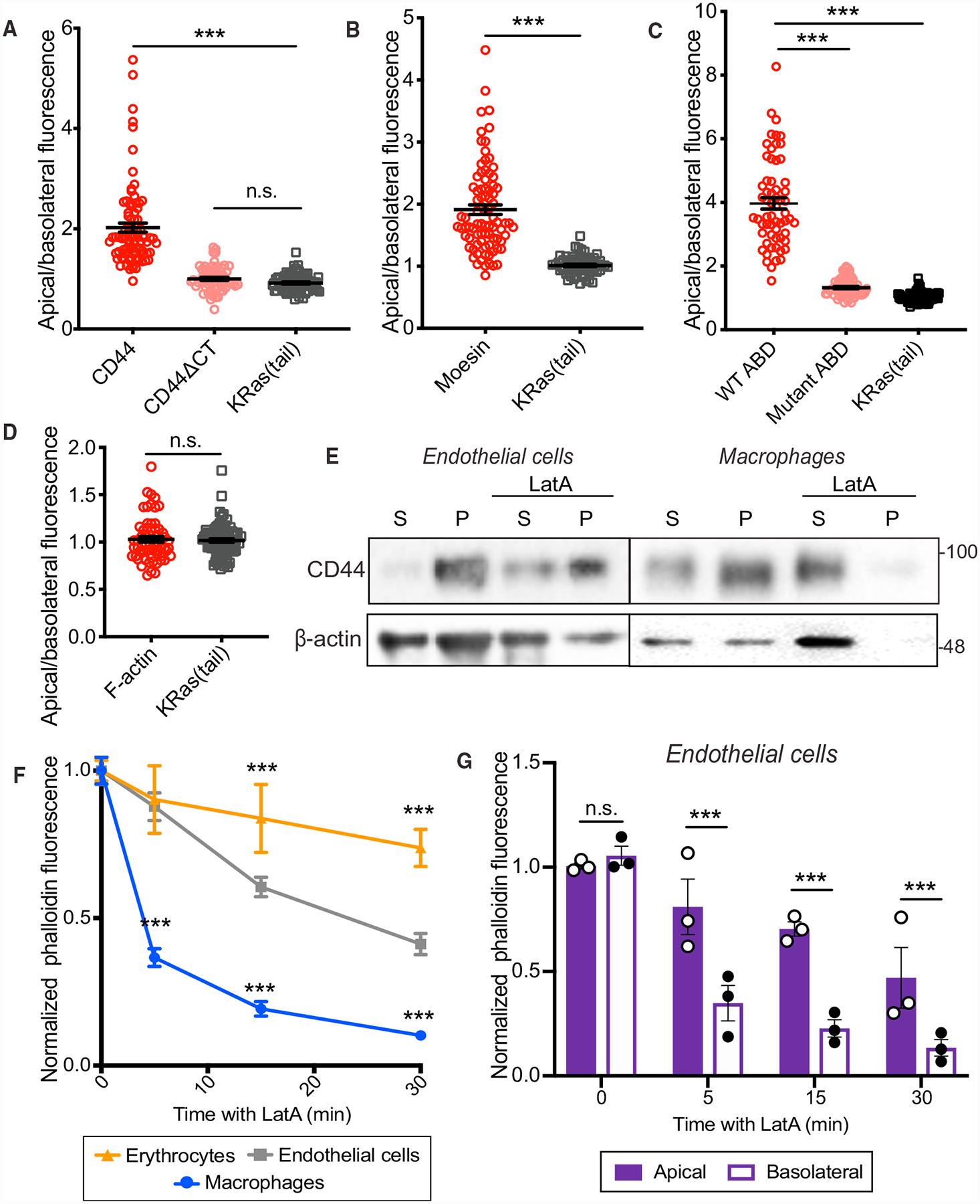 https://cdn.ncbi.nlm.nih.gov/pmc/blobs/bf33/7548125/5b890cd2a90c/nihms-1633236-f0003.jpg
