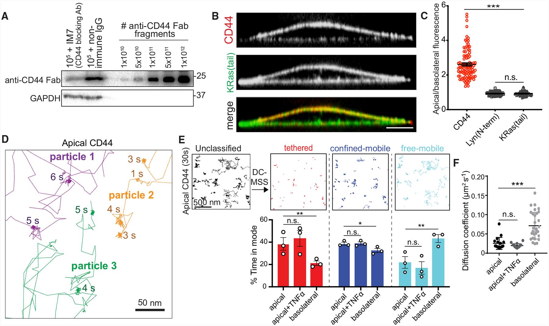 https://cdn.ncbi.nlm.nih.gov/pmc/blobs/bf33/7548125/63044ddf7aa7/nihms-1633236-f0002.jpg
