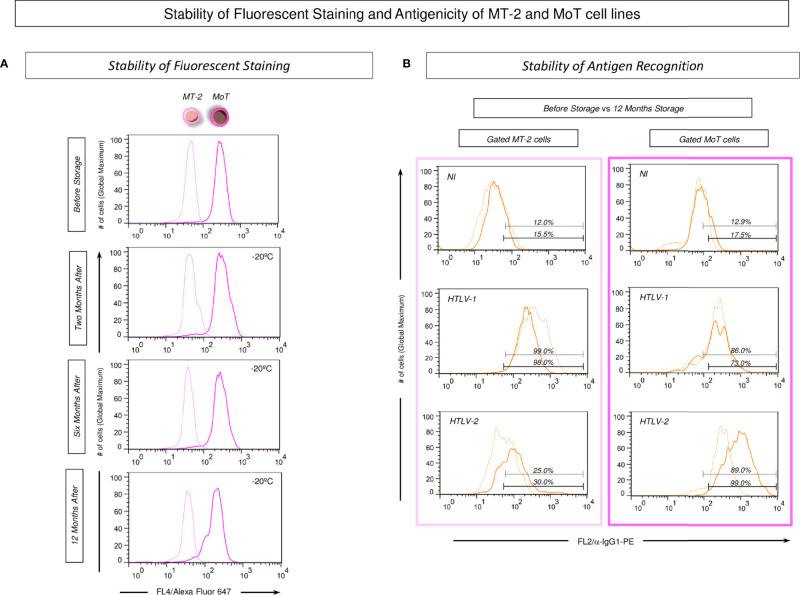 https://cdn.ncbi.nlm.nih.gov/pmc/blobs/bf37/9047958/e82795fb7ac1/fimmu-13-795815-g003.jpg