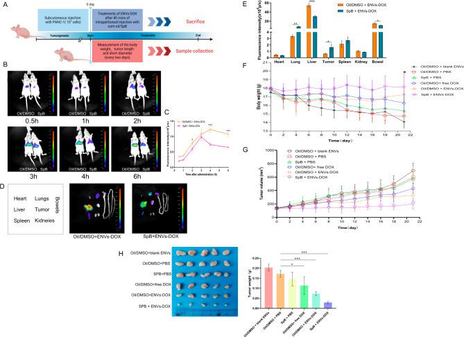 https://cdn.ncbi.nlm.nih.gov/pmc/blobs/bf38/11657701/13b4cf640344/12951_2024_3001_Fig7_HTML.jpg