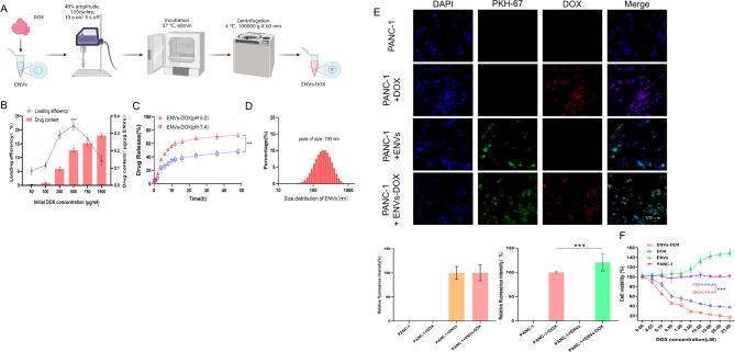 https://cdn.ncbi.nlm.nih.gov/pmc/blobs/bf38/11657701/3198f5a32655/12951_2024_3001_Fig6_HTML.jpg