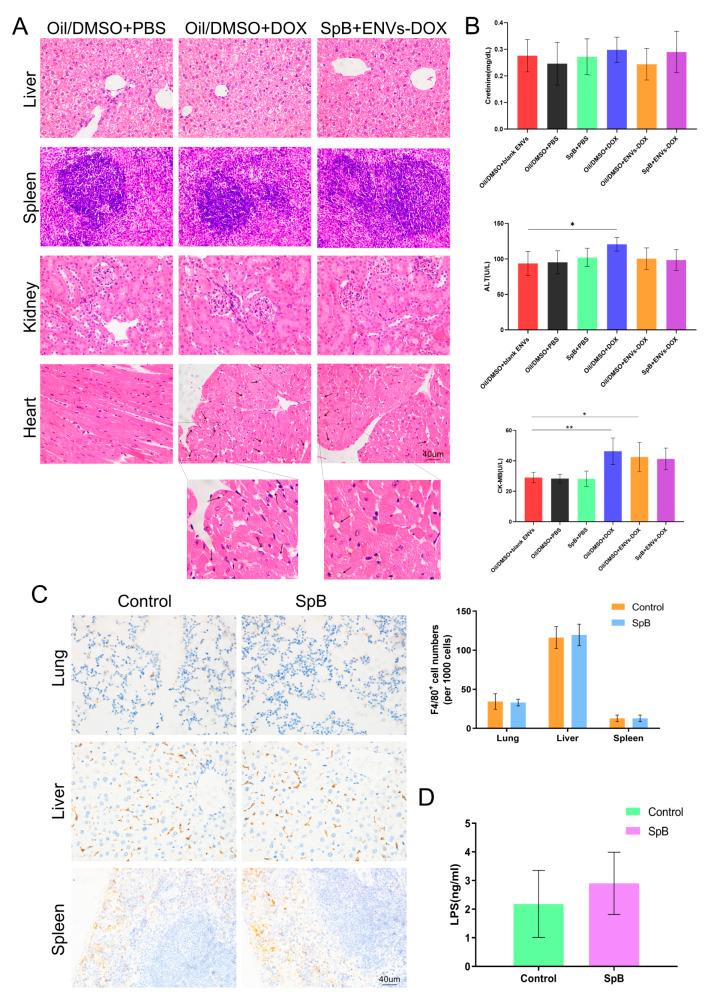 https://cdn.ncbi.nlm.nih.gov/pmc/blobs/bf38/11657701/db0ab600d274/12951_2024_3001_Fig8_HTML.jpg