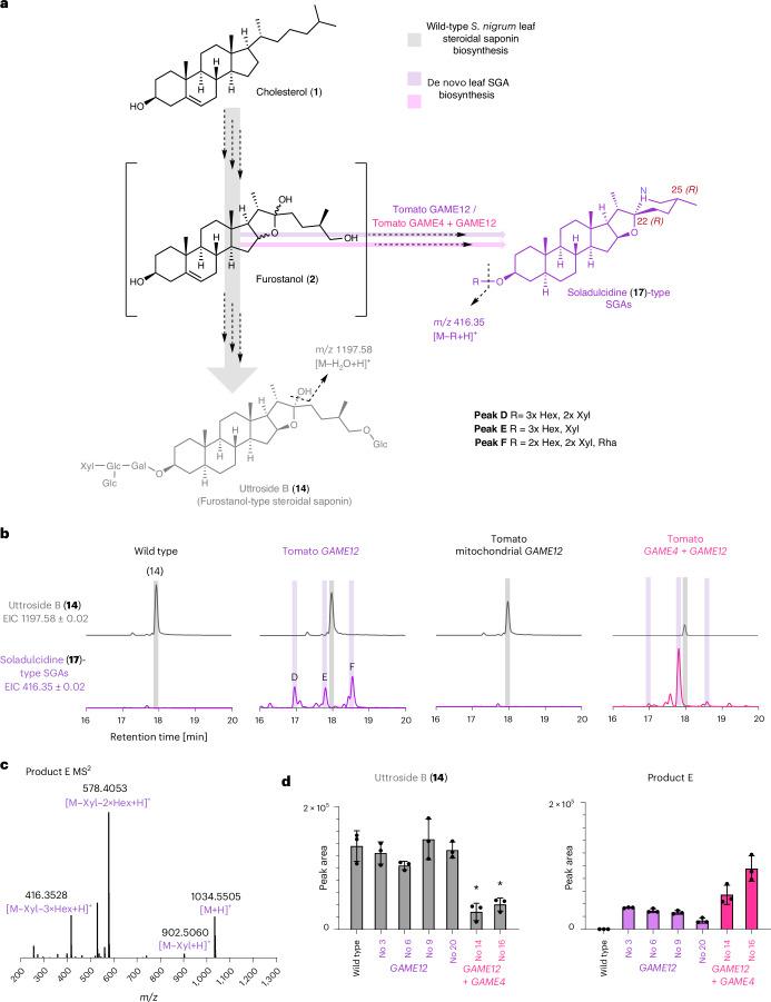 https://cdn.ncbi.nlm.nih.gov/pmc/blobs/bf39/11666457/6e2c2be90998/41589_2024_1735_Fig5_HTML.jpg