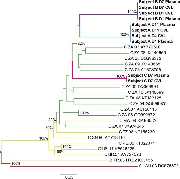 https://cdn.ncbi.nlm.nih.gov/pmc/blobs/bf3a/6321908/cc7d835faac7/JVI.00804-18-f0003.jpg