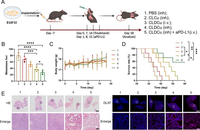 https://cdn.ncbi.nlm.nih.gov/pmc/blobs/bf3b/11365430/0ab8579b0fcf/gr6.jpg