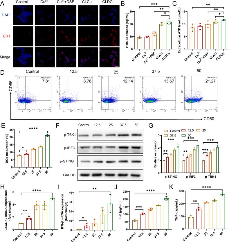 https://cdn.ncbi.nlm.nih.gov/pmc/blobs/bf3b/11365430/70d27af53917/gr4.jpg