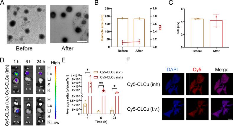 https://cdn.ncbi.nlm.nih.gov/pmc/blobs/bf3b/11365430/be0d0b3b793d/gr5.jpg
