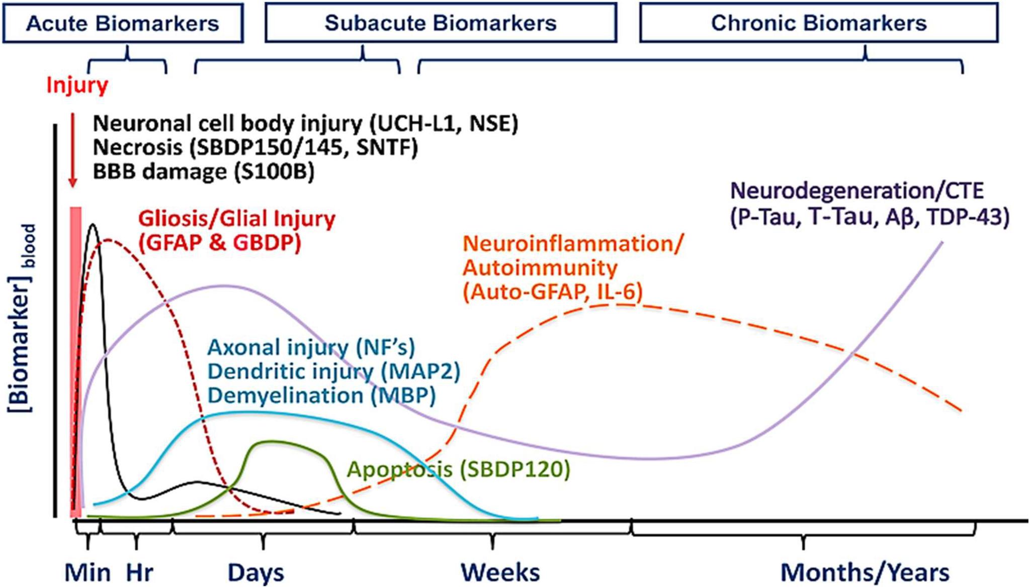 https://cdn.ncbi.nlm.nih.gov/pmc/blobs/bf3b/9888755/a9a471db2547/oppen4-3161352.jpg