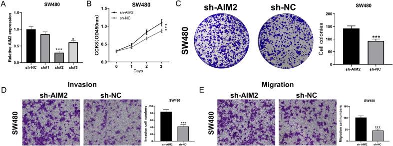 https://cdn.ncbi.nlm.nih.gov/pmc/blobs/bf3c/10628212/4088ea870904/41598_2023_46675_Fig9_HTML.jpg