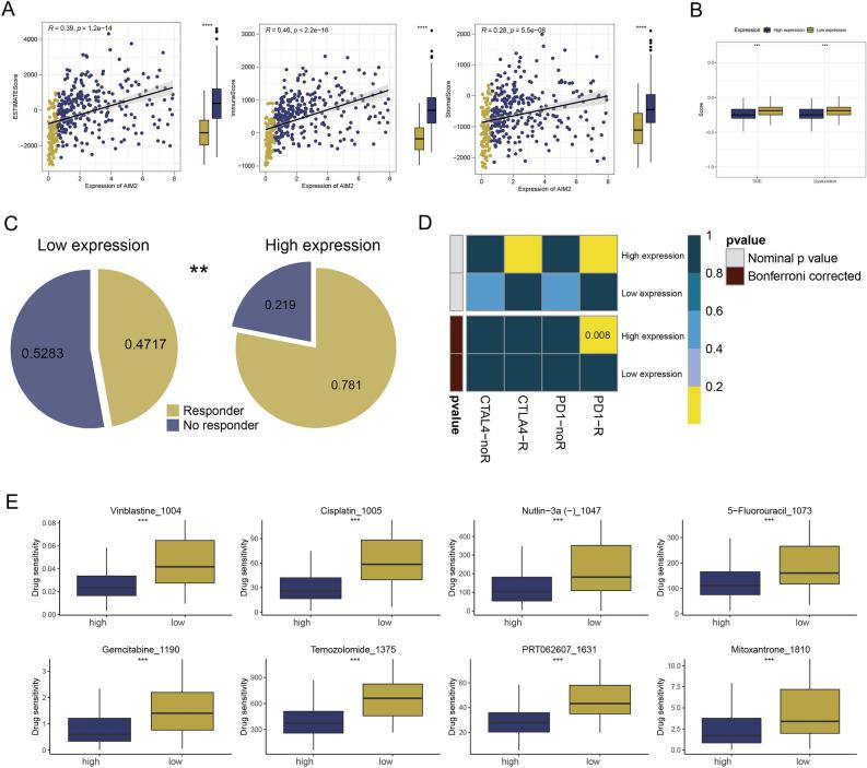 https://cdn.ncbi.nlm.nih.gov/pmc/blobs/bf3c/10628212/53a47fd4b528/41598_2023_46675_Fig8_HTML.jpg