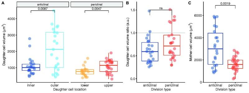 https://cdn.ncbi.nlm.nih.gov/pmc/blobs/bf3d/8579162/77b9eb4c4364/pcab038f3.jpg